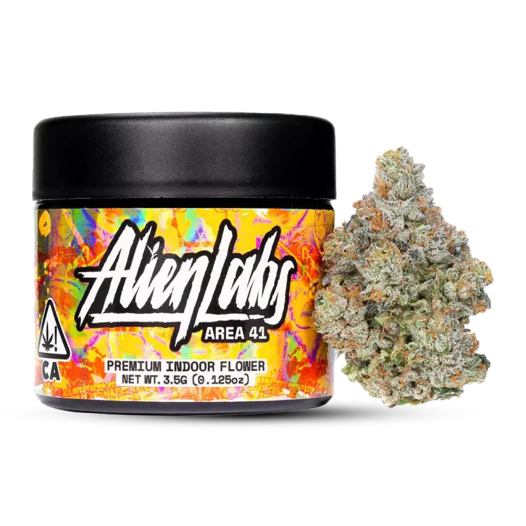 An image of Alien Labs Area 41 flower. The jar is black with a colorful orange label, and the Alien Labs flower is fluffy, with a thick layer of trichomes.