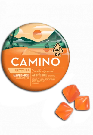 A tin of Kiva Camino gummies. These Kiva gummies are the recover blend, in the flavor “freshly squeezed” for a refreshing, invigorating experience.
