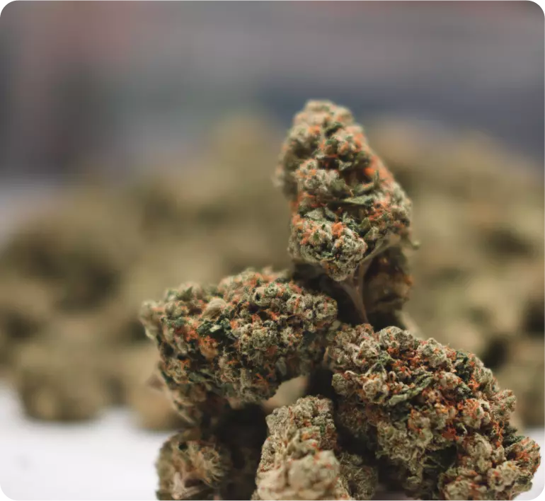 A small pile of cannabis flower that can be delivered by Golden State Canna, Bakersfield CA’s best weed delivery company. Shop with Golden State Canna for weed delivery in Bakersfield today.