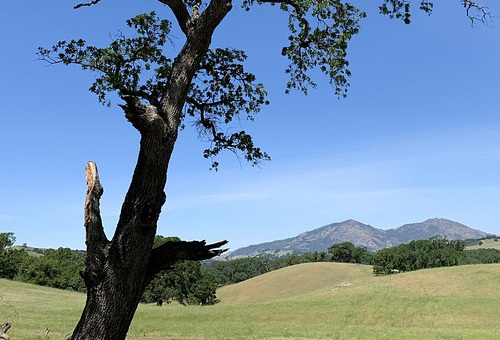 Scenic landscape near Walnut Creek, highlighting the availability of weed delivery in Walnut Creek.